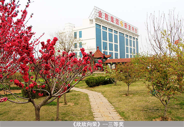 20150520105234593459 尊龙凯时人生就是搏(中国区)官方网站